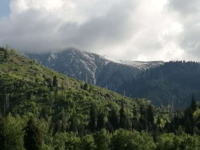 Хостелы Хостел на Медеу Алматы-10